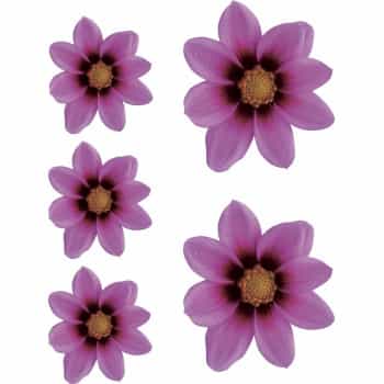 Sticker Flower Garden - pink - 2x 16x15cm + 3x 8,5x8cm