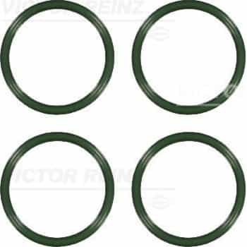Gasket Set, intake manifold 11-38519-01 Viktor Reinz