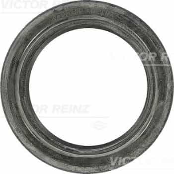 Shaft Seal, camshaft 81-35896-00 Viktor Reinz