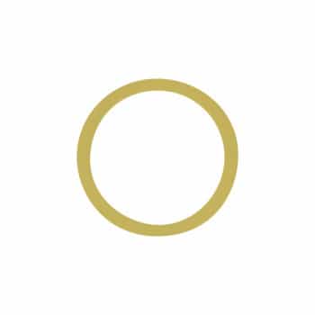 Womi PU ring BJ Dust Cover 100 pcs. 5570619