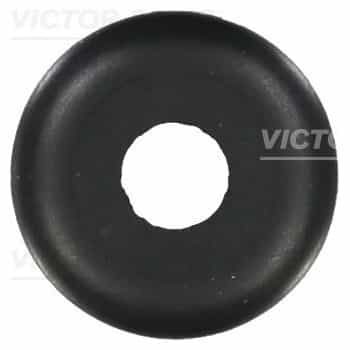 Seal Ring, valve stem