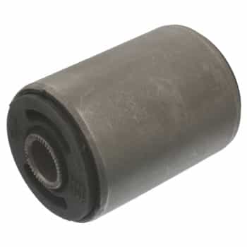 Bush, leaf spring
