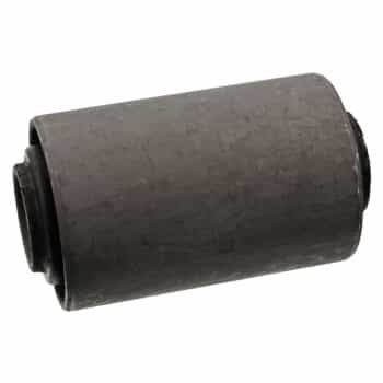 Bush, leaf spring