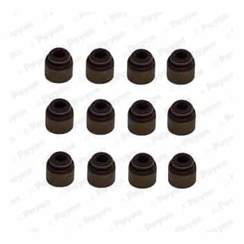 Seal Set, valve stem