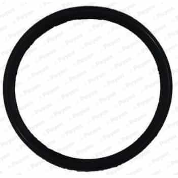 Gasket, intake manifold JD6150 Payen