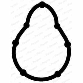 Gasket, intake manifold JD5315 Payen