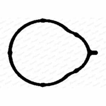 Gasket, intake manifold JD5858 Payen