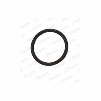 Seal Ring, oil drain plug LA5120 Payen