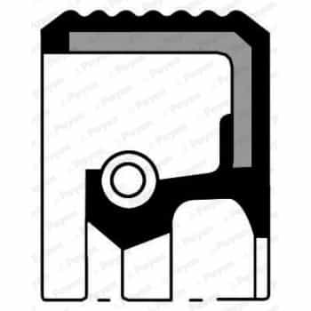 Shaft Seal, intermediate shaft NF849 Payen