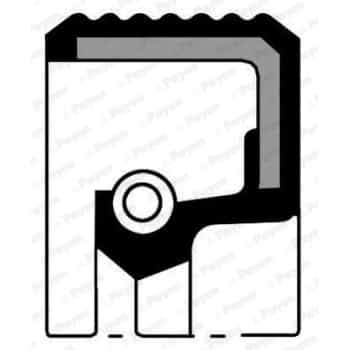 Shaft Seal, camshaft NJ321 Payen