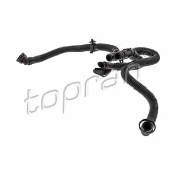 Hose, cylinder head breather