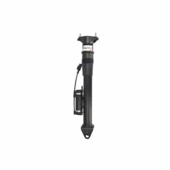 Pneumatic strut