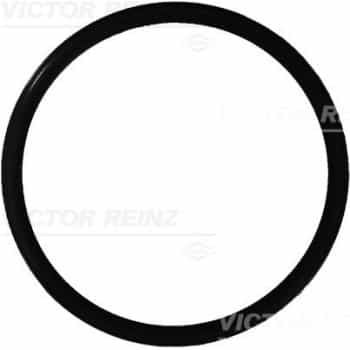 sealing ring 40-76165-00 Viktor Reinz