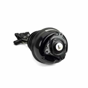 Pneumatic strut