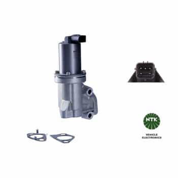 EGR valve