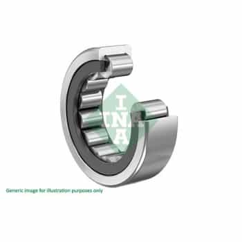Bearing, differential