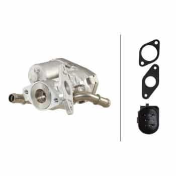 EGR Valve 6NU 010 171-271 Hella