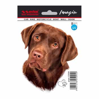 Car Tattoo Sticker Labrador - 11x13.2cm