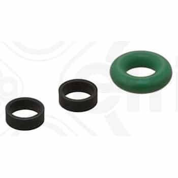 Seal Ring Set, injector