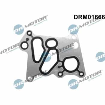 Gasket, oil cooler