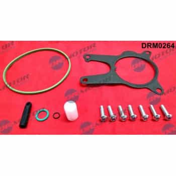 Repair kit, vacuum pump (brake system)