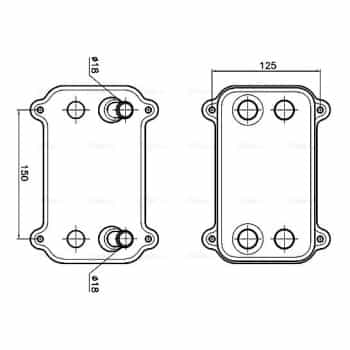 Oil cooler, engine oil