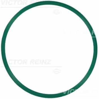 Gasket, intake manifold 71-21910-00 Viktor Reinz