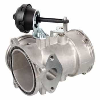 EGR valve