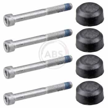 Accessory Kit, disc brake pad