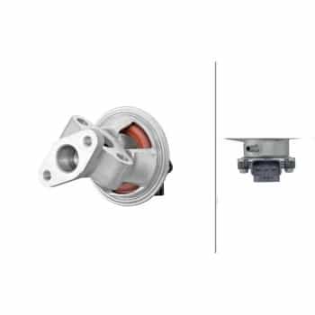 EGR valve 6NU 014 865-551 Hella