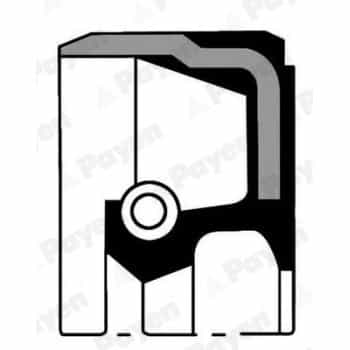 Shaft Seal, crankshaft NB973 Payen