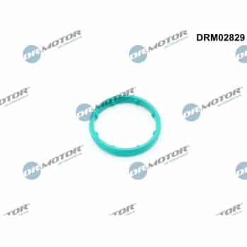 Gasket, oil cooler