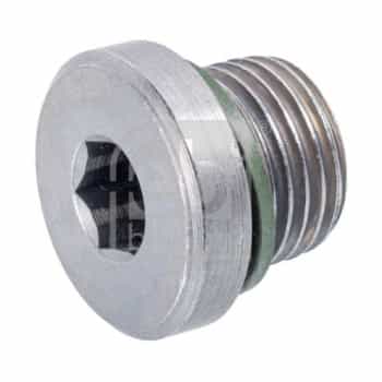 Screw plug, oil pan 172181 FEBI