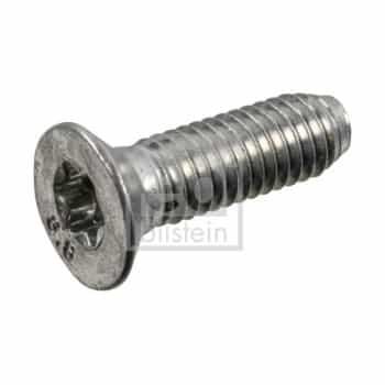 Screw, brake disc