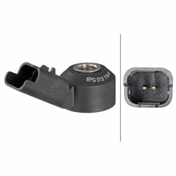 Knock sensor 6PG 013 114-411 Hella