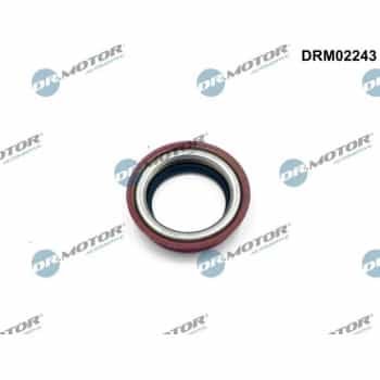 Oil seal, differential