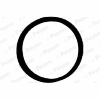 Gasket, intake manifold JD5107 Payen