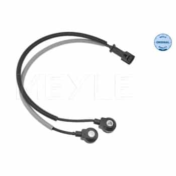 Knock sensor