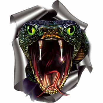 Sticker Snake - 17.6x20cm
