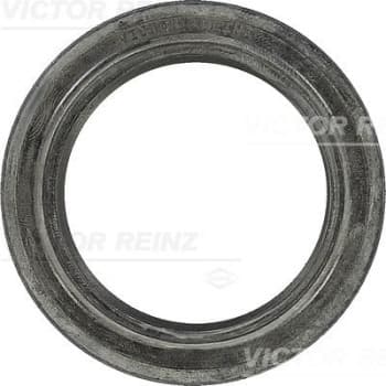 Shaft Seal, camshaft 81-35896-00 Viktor Reinz