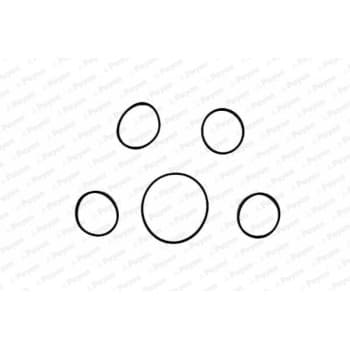 Gasket Set, intake manifold HA5005 Payen