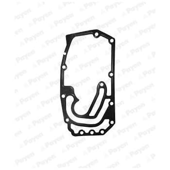 Gasket, timing case cover KK5599 Payen