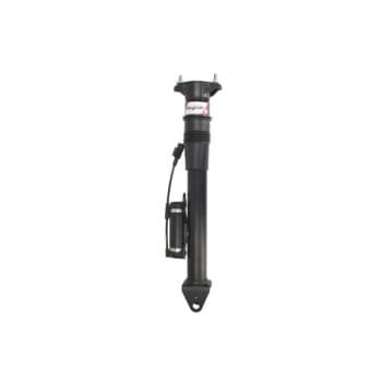Pneumatic strut