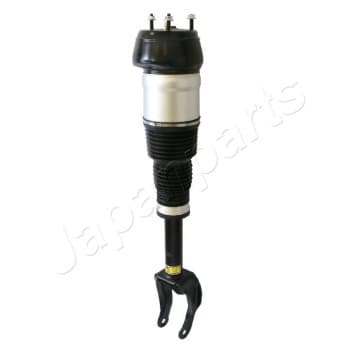 Pneumatic strut