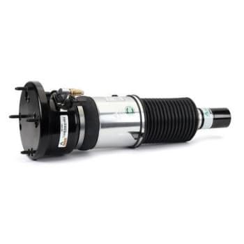 Pneumatic strut