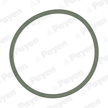 Gasket, intake manifold JD5228 Payen