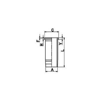 Cylinder liner