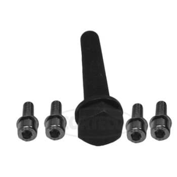 Set of screws for pulley camshaft