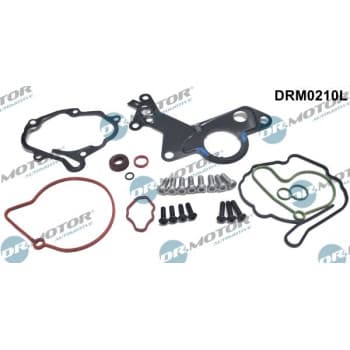 Repair kit, vacuum pump (brake system)