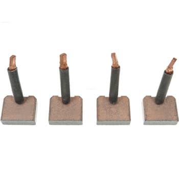 Carbon brush, starter motor